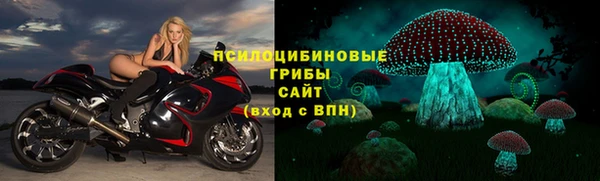 прущая мука Елизово